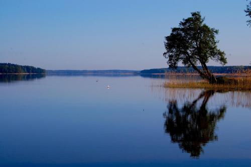 Apartament U Hanki w Charzykowach