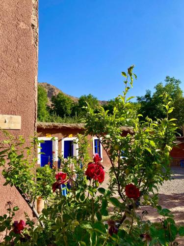 Jardín al aire libre en Gîte Imarin