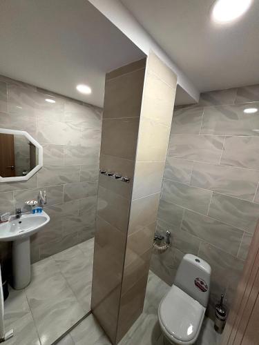 a bathroom with a shower with a toilet and a sink at Lagodekhi Inn in Lagodekhi