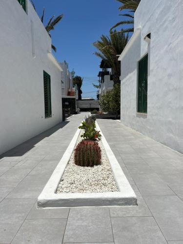 APARTAMENTO LANZA PALM