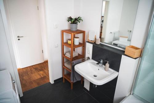 a bathroom with a sink and a mirror at Traumwohnung im Kölner Süden in Hürth