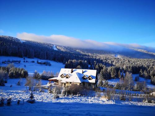 Wichrowe Wzgórze Janowa Góra, Czarna Góra, Sienna