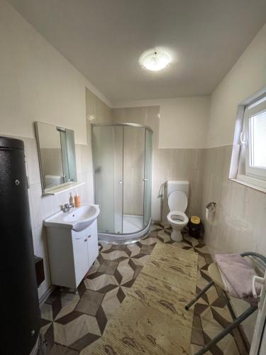 a bathroom with a shower and a sink and a toilet at Casa familiala de vacanta in Bogdan Vodă