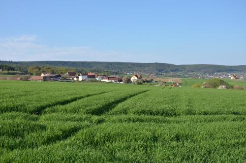 a field of green grass with houses in the background at Vermieterei in Oberwölbling