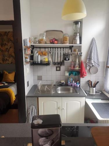 - une petite cuisine avec évier dans la chambre dans l'établissement mulhouse hyper centre, à Mulhouse