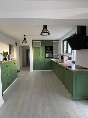 a kitchen with green cabinets and a counter top at Lazăr Home in TÄƒuÅ£ii MÄƒgheruÅŸ