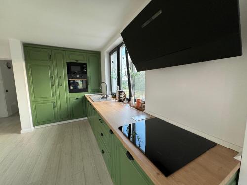 a kitchen with green cabinets and a counter top at Lazăr Home in TÄƒuÅ£ii MÄƒgheruÅŸ
