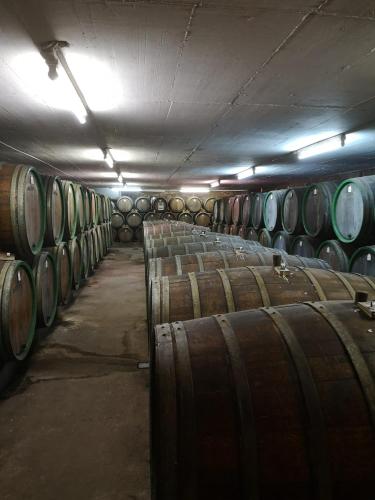 a row of wine barrels in a cellar at Gästehaus Eulenköpfchen in Neef
