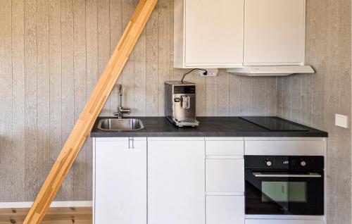 トラーノースにあるStunning Home In Tranås With Saunaのキッチン(白いキャビネット、シンク付きカウンター付)