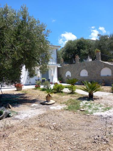a yard with a house in the background at villa tra uliveti e mare in Perdifumo