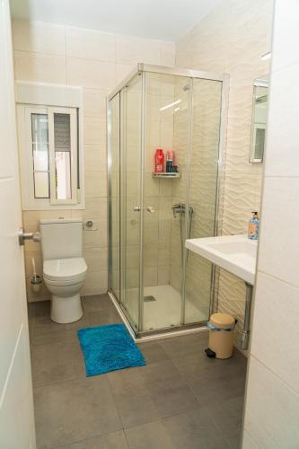 a bathroom with a shower and a toilet and a sink at Céntrico y luminoso in Huelva