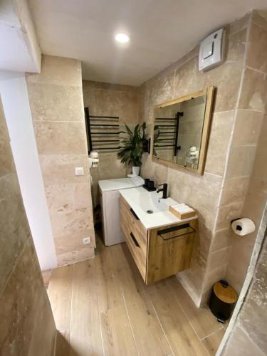 a bathroom with a sink and a mirror at Annecy poisy Studio a 9 minutes du lac Annecy avec piscine privée in Poisy