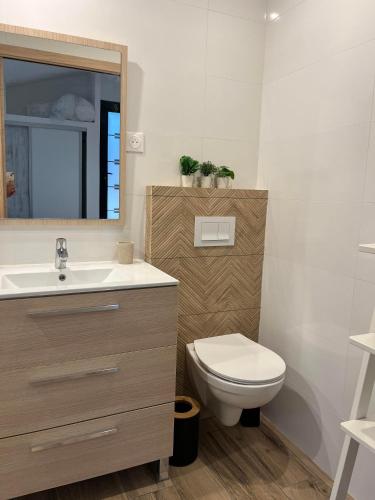 une salle de bain avec toilettes, lavabo et miroir dans l'établissement Chambre indépendante avec jardin - 100m de la mer, à Langrune-sur-Mer