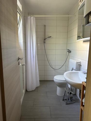 a bathroom with a shower and a toilet and a sink at Haus Anneliese in Herbolzheim
