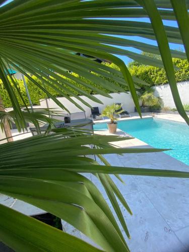 a palm tree in front of a swimming pool at Annecy poisy Studio a 9 minutes du lac Annecy avec piscine privée in Poisy