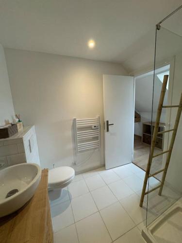 une salle de bain avec toilettes, lavabo et douche dans l'établissement Le Petit Nid de Colmar - Parking privé, à Colmar