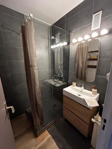 Appartement 4 personnes tout confort à Strasbourg