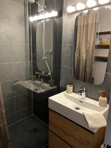 une salle de bain avec un lavabo, une douche et un miroir dans l'établissement Appartement 4 personnes tout confort à Strasbourg, à Strasbourg