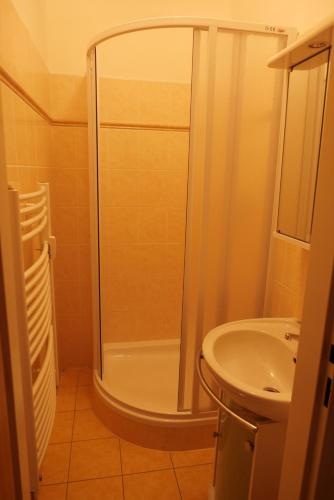 a bathroom with a shower and a sink at S4 Červenohorské sedlo in Loučná nad Desnou