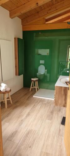 a room with a green wall with a toilet in it at Vila Zavino in Branik