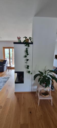 a living room with a fireplace in a white wall at Vila Zavino in Branik