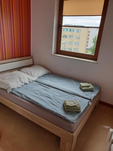 łóżko stojące w pokoju z oknem w obiekcie Apartament Konrad w centrum 600 m od morza w Kołobrzegu