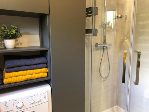 a bathroom with a shower and a washing machine at Small resort Pini & SPA in Jūrmala