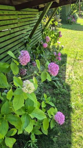 a garden with purple and white flowers next to a building at LAGUN POOL VILLAGE in Yalova