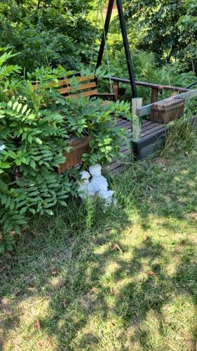 a garden with a bench and plants in the grass at LAGUN POOL VILLAGE in Yalova