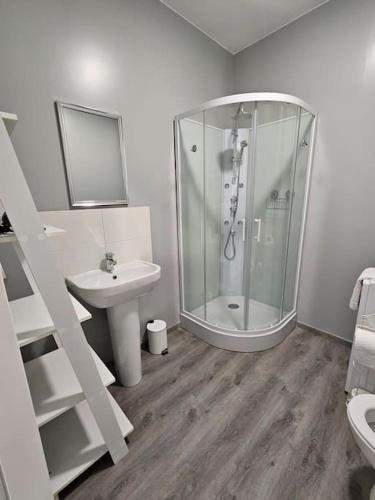 une salle de bain avec douche et lavabo dans l'établissement Appartement, à Saint-Vallier