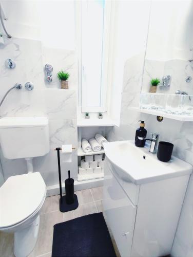 Apartman Rijeka centar