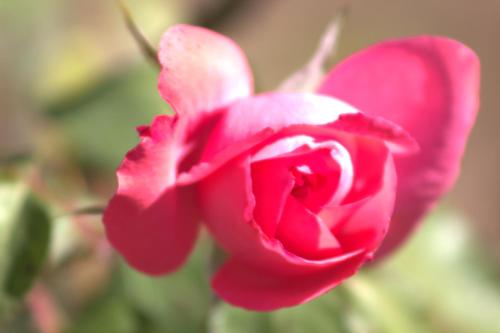 Gambar di galeri bagi Hotel Fazenda Retiro das Rosas di Ouro Preto