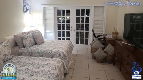 a living room with a couch and a tv at 21 Plantations Paradise in Lowlands