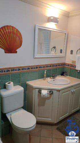 a bathroom with a toilet and a sink and a mirror at 21 Plantations Paradise in Lowlands