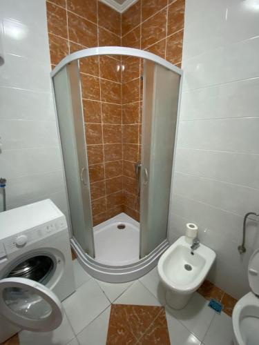 un bagno con doccia, WC e lavandino di Zara Apartman a Herceg-Novi