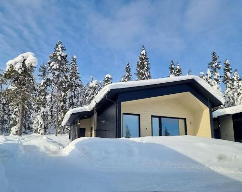 a house covered in snow with trees in the background at Villa Haawe in Syöte