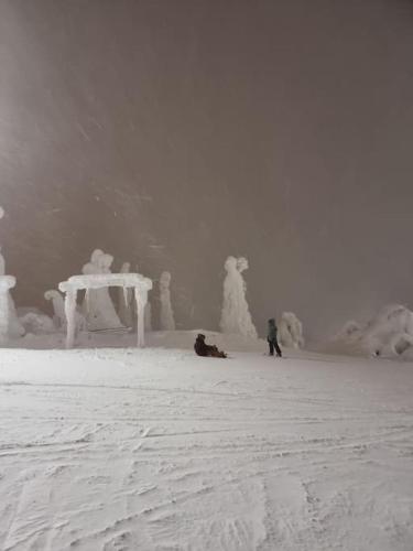 a group of people sitting in the snow with snow sculptures at Villa Haawe in Syöte