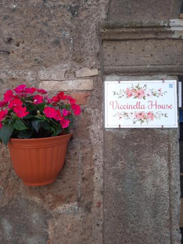 a flower pot and a sign on a wall with flowers at Viccinella House in Capranica