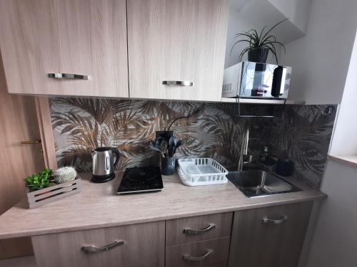 a kitchen counter with a sink and a microwave at Viccinella House in Capranica