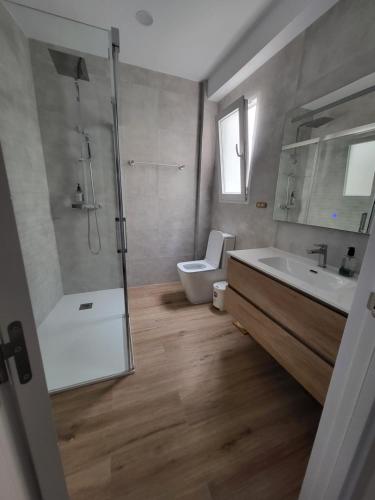 a bathroom with a shower and a toilet and a sink at Apartamento Coral in Peñíscola
