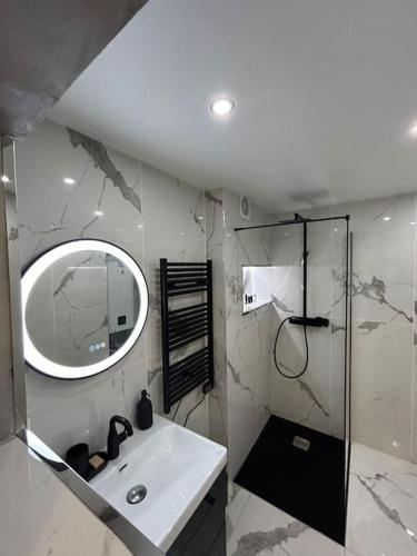 une salle de bain avec un lavabo, un miroir et une douche dans l'établissement Appartement vue Saône et Lune, à Mâcon