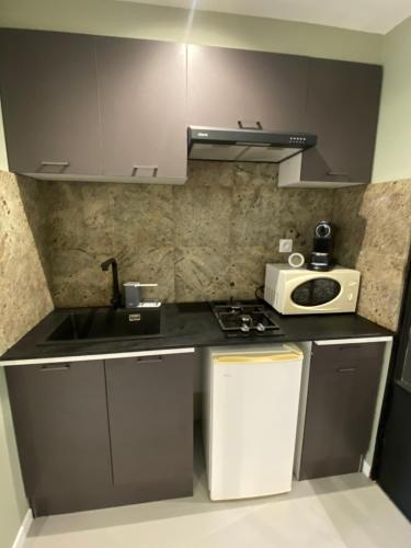 une petite cuisine avec un évier et un micro-ondes dans l'établissement L atelier du golf, à Périgueux