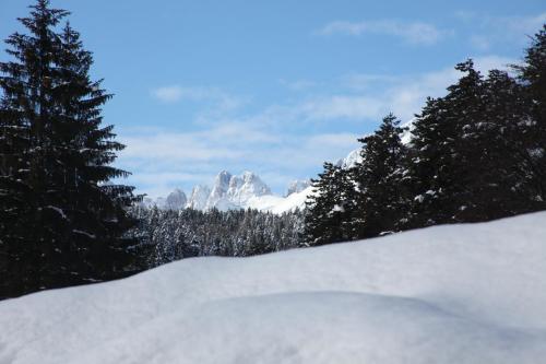 Gallery image of Albergo Miravalle Fai della Paganella in Fai della Paganella