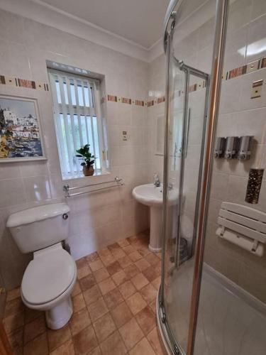a bathroom with a toilet and a shower and a sink at Charming coastal bungalow in Cayton