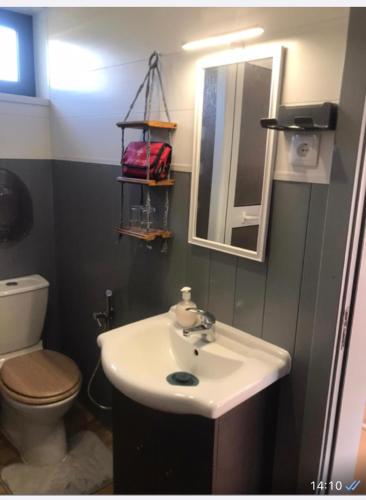 a bathroom with a sink and a toilet and a mirror at Casa da Aldeia in Figueiró dos Vinhos