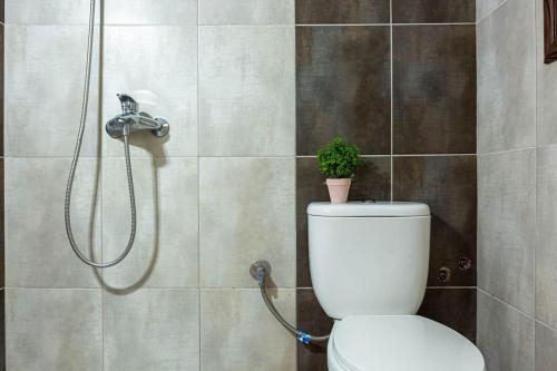 a bathroom with a shower and a toilet with a plant at Color Villa - South Paradise 6 in Himare
