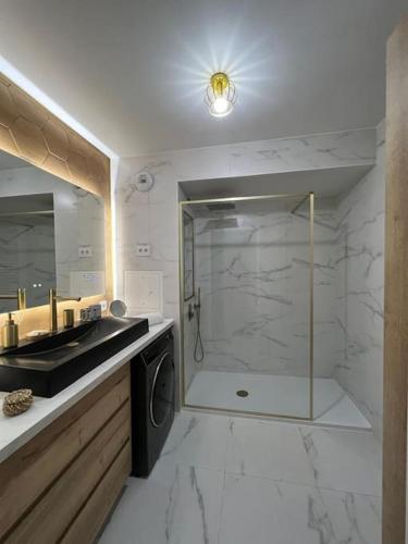 une salle de bain avec douche et lavabo dans l'établissement Appartement de Luxe, à Villepinte