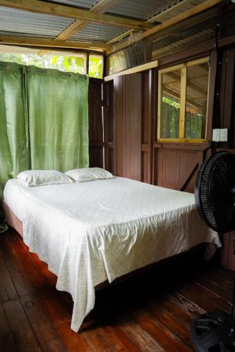 a bedroom with a bed with a white comforter and two windows at Flutterby House Hostel in Uvita