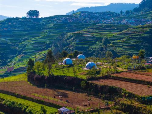 a group of tents on a green hillside at L.T NATURE GLAMPS in Kodaikānāl