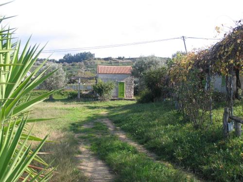 Κήπος έξω από το Il Canto di Kokopelli Country Houses